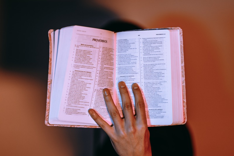 Bible verses about reading the Bible
