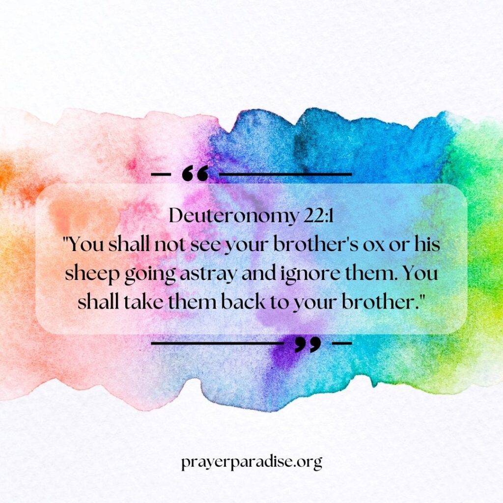 Bible verses about brothers.