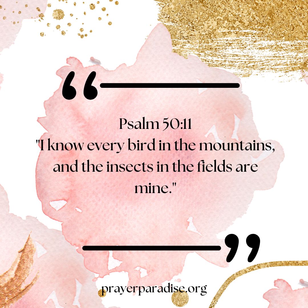 Bible verses about birds.